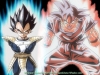 Goku-vs-Vegeta.jpg